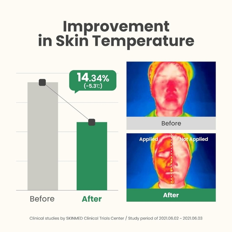 AXIS-Y New Skin Resolution Gel Mask Mugwort with 2% Niacinamide - Spot Treatment for Face, Barrier Repair & Brightening - Vegan Korean Skin Care Face Mask - 100ml