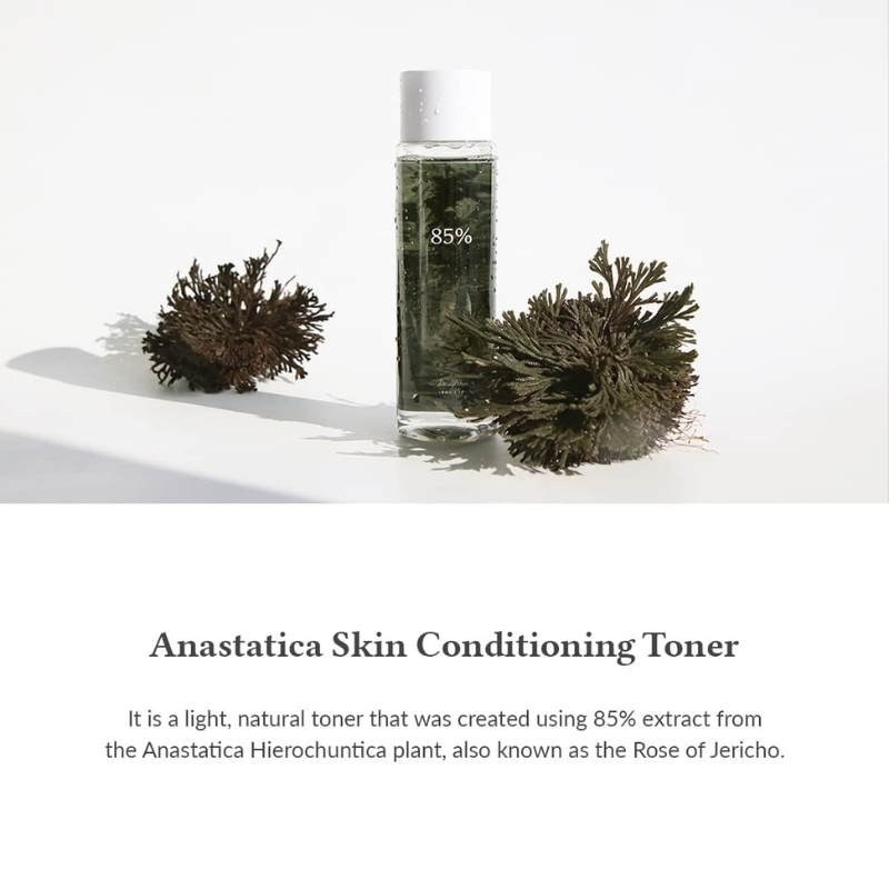 Dr. althea Anastatica Skin Conditioning Toner & CICA Skin Calming Toner - 85%, Hydrating, Lightweight, Vegan (Rose of Jericho)