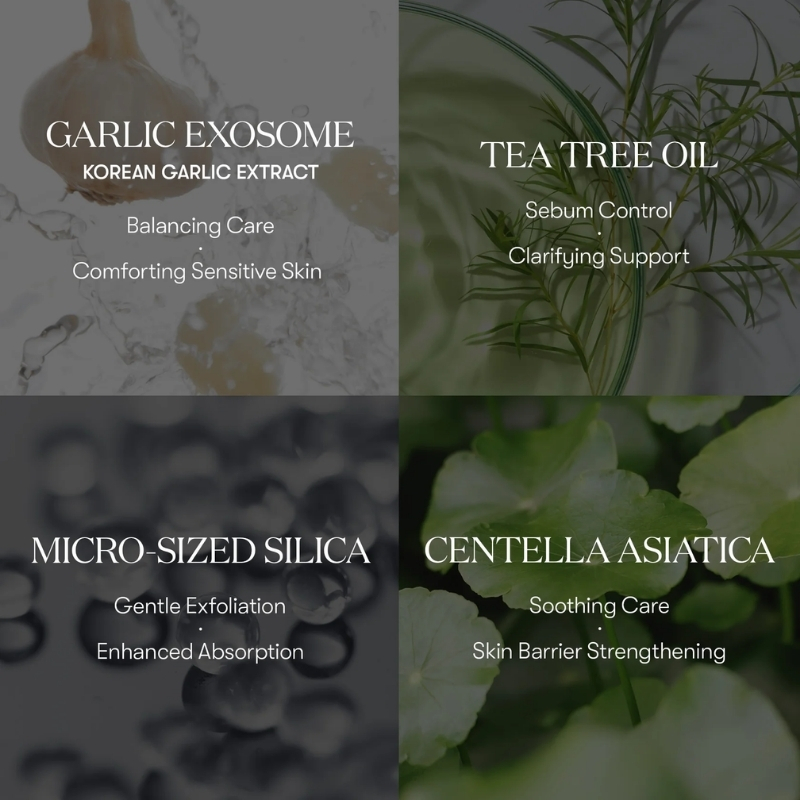 VT COSMETICS Garlic AC Reedle Shot Spot Cream 15ML